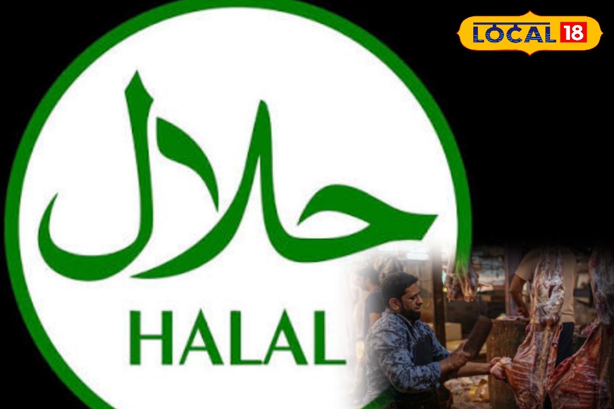 Halal Food: ஹலால் என்றால் என்ன..? கறிக்கடை முதல் ஹோட்டல் வரை இதை குறிப்பிட காரணம் என்ன..?