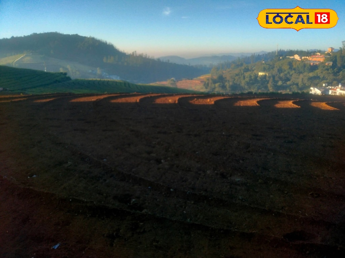 நம்ம ஊருக்கு என்னதான் ஆச்சு... மண் வளத்தை கெடுக்கும் பூச்சிக்கொல்லி மருந்துகள்... | Nilgiris News (நீலகிரி செய்திகள்) - News18 தமிழ்