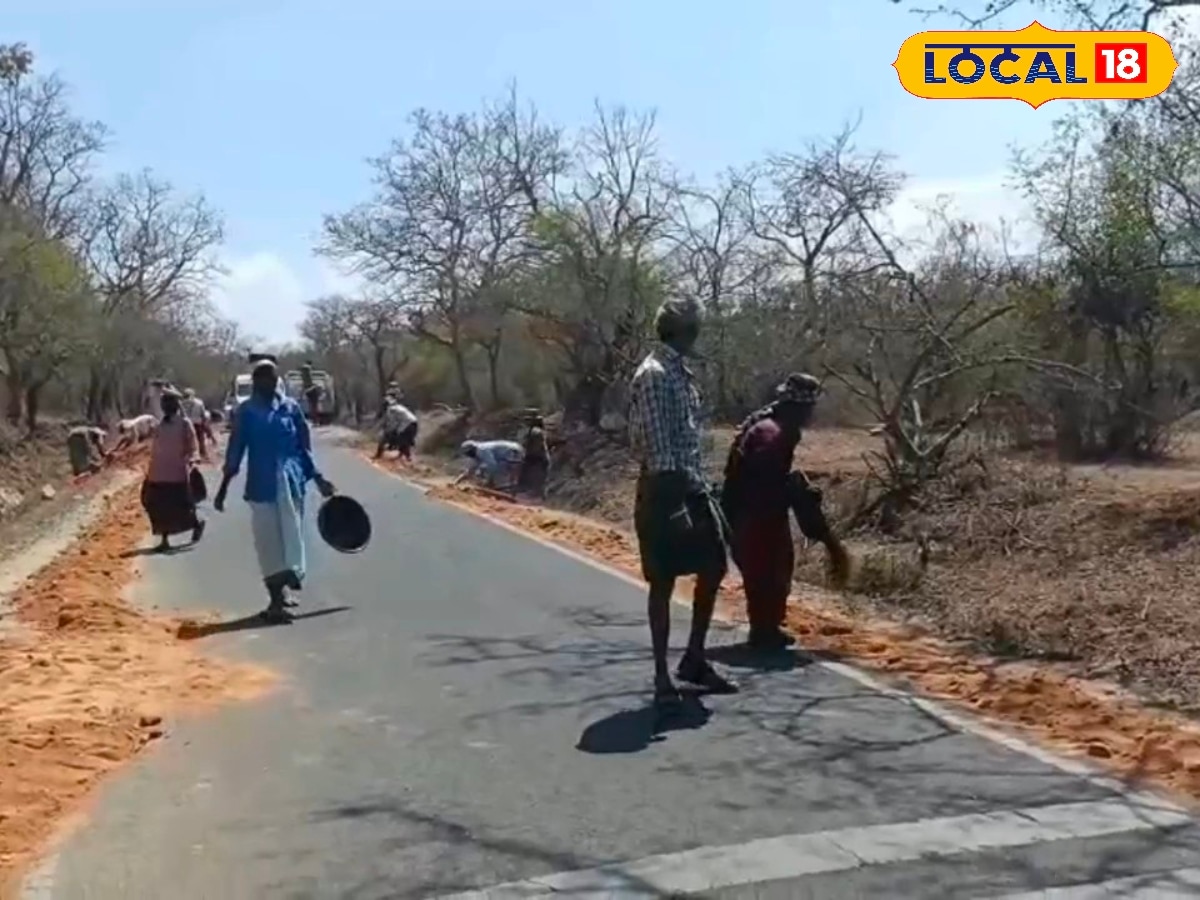 பொக்காபுரம் மாரியம்மன் கோவில் தேர் திருவிழா... சாலை சீரமைப்பு பணி தீவிரம்... | Nilgiris News (நீலகிரி செய்திகள்) - News18 தமிழ்