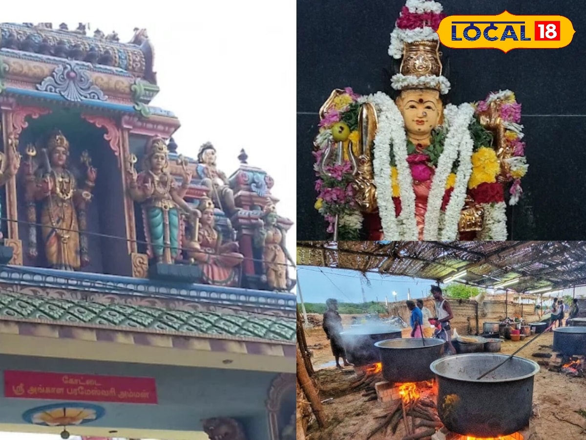 அங்காளம்மன் கோயில் திருவிழா... 1000-க்கும் மேற்பட்ட கிடாக்கள், 25,000 பேருக்கு கறி விருந்து அன்னதானம் ! | Erode Photogallery (ஈரோடு போட்டோகேலரி) - News18 தமிழ்