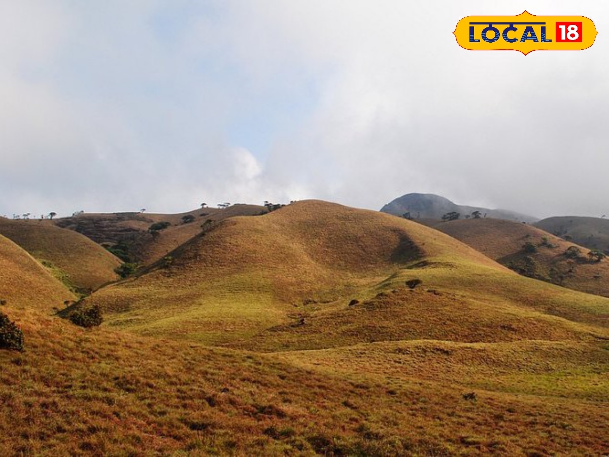 நீலகிரி வனப்பகுதிகளில் மலையேற்றத்திற்கு தடை... வனத்துறை வெளியிட்ட அறிவிப்பு... | Nilgiris News (நீலகிரி செய்திகள்) - News18 தமிழ்