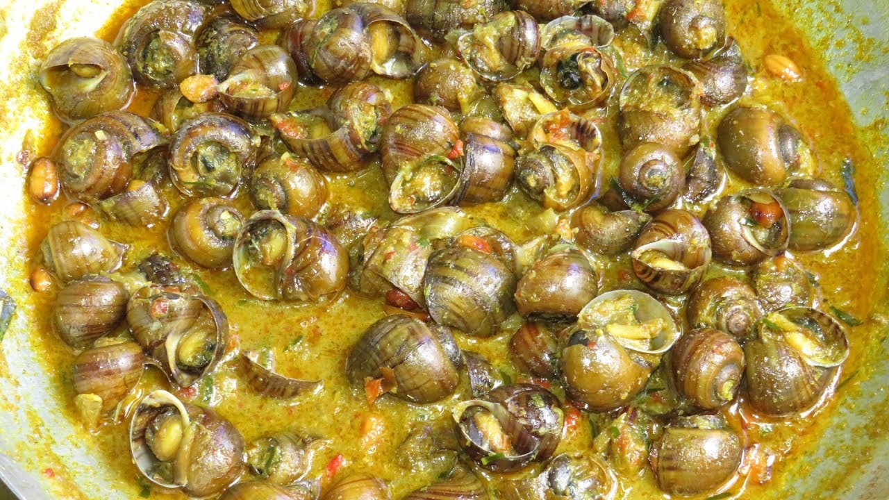 நத்தை கறி கிரேவி... அசைவ பிரியர்களின் ஸ்பெஷல் ரெசிபிகளில் இதுவும் ஒன்று ! | லைப்ஸ்டைல் போட்டோகேலரி - News18 தமிழ்