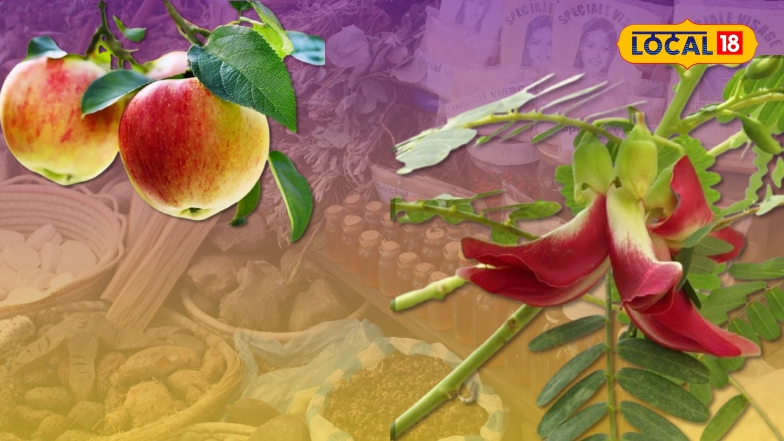 ஆப்பிள் முதல் அகத்திக்கீரை வரை… உடல்நலத்தை காக்கும் இயற்கை வழிகள்... | தமிழ்நாடு போட்டோகேலரி - News18 தமிழ்