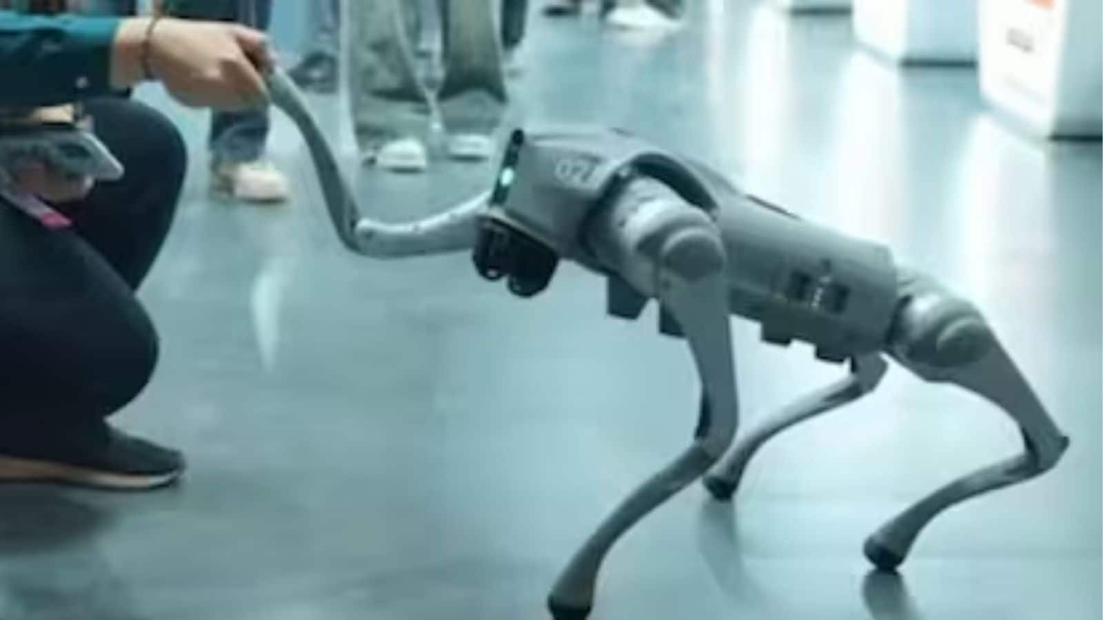 Robotic Dog: சீன ரோபோ நாயுடன் நிகழ்ச்சி... சிறப்புகள் மற்றும் விலை என்ன தெரியுமா...? | Technology News (தொழில்நுட்ப செய்திகள்) - News18 தமிழ்