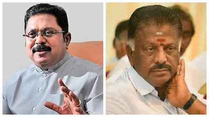 டிடிவி தினகரன்