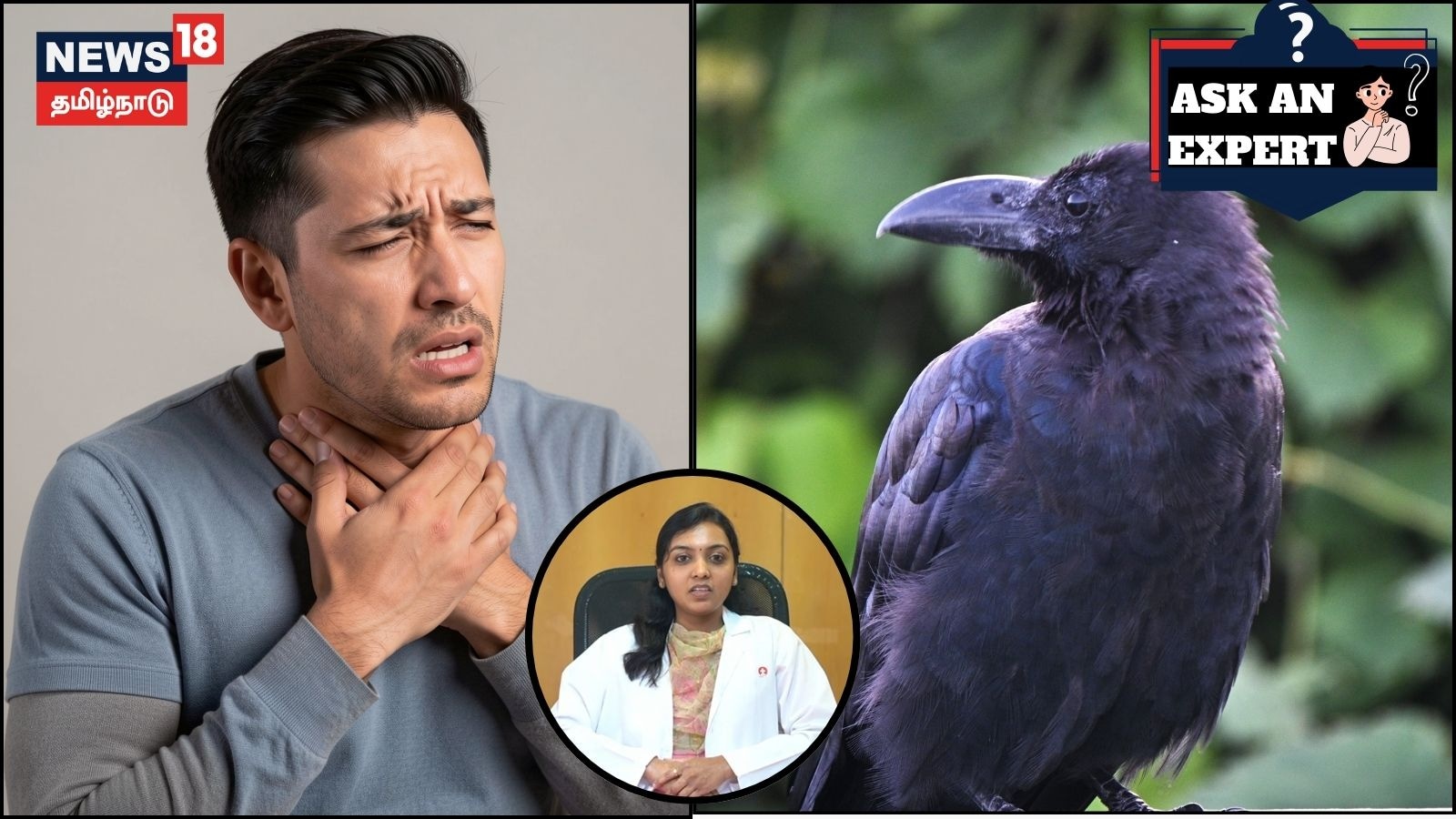 Ask An Expert | பறவைக் காய்ச்சல் வரும் வாய்ப்பு யாருக்கெல்லாம் அதிகம்? எப்படி தற்காத்துக் கொள்வது? | லைப்ஸ்டைல் போட்டோகேலரி - News18 தமிழ்