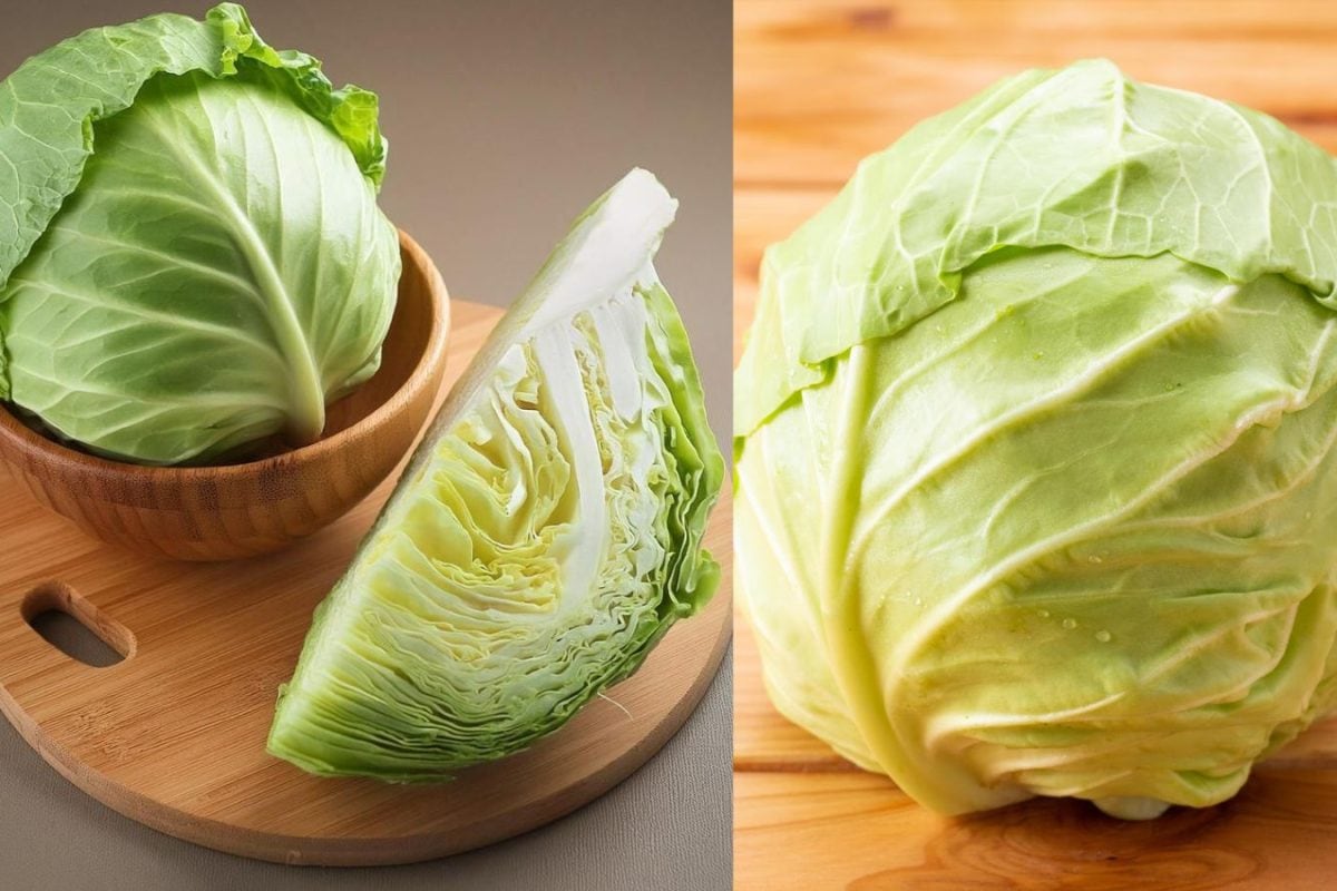 இத்தனை நாள் இது தெரியாமலே முட்டைகோஸ் சாப்பிடுகிறீர்களா..? இந்த பிரச்சனை இருந்தா தொடவே கூடாது!