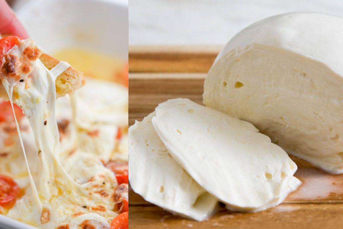https://images.news18.com/tamil/uploads/2026/02/cheese-1-2026-02-c77833fe9ad8c58af4a82ae2ac1c8803-3x2.jpg