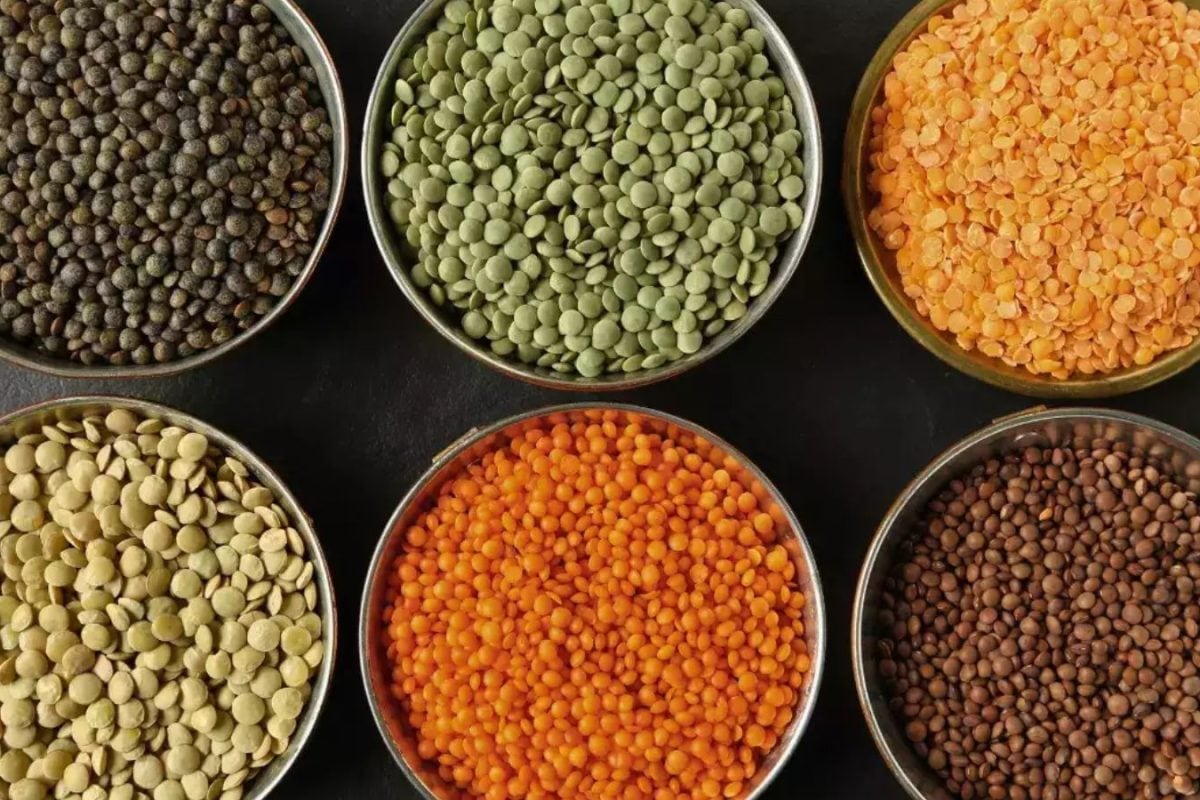 பருப்பு சாப்பிடுவதால் உண்மையிலேயே யூரிக் அமிலம் அதிகரிக்குமா..? ஊட்டச்சத்து நிபுணர்களின் விளக்கம்..!