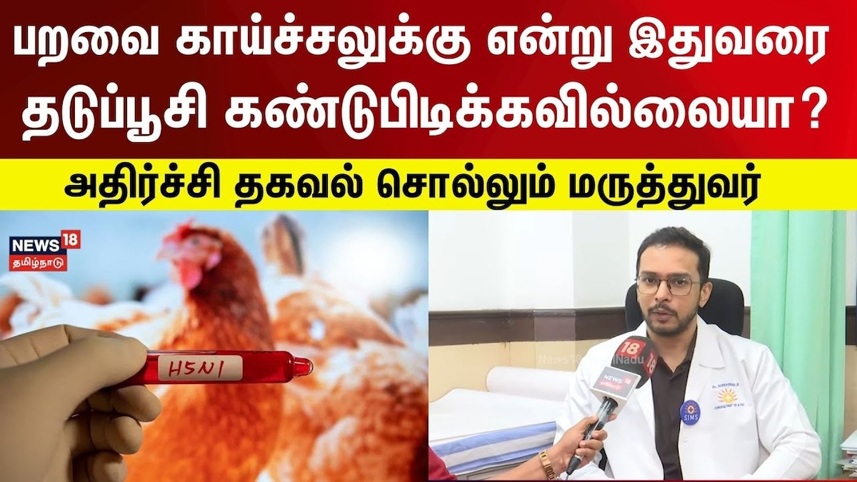 பறவைக் காய்ச்சல் வராமல் இருக்க என்னவெல்லாம் செய்ய வேண்டும்? பதில் தருகிறார் மருத்துவர்! | Bird Flu | Lifestyle Videos (லைப்ஸ்டைல் வீடியோக்கள்) - News18 தமிழ்