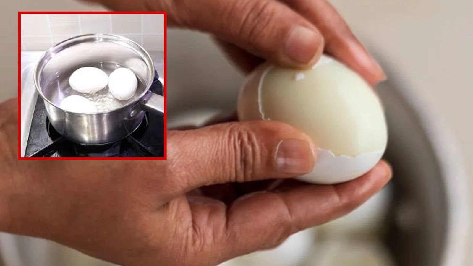 முட்டை வேக வைக்கும் தண்ணீரில் இதை ஒரு ஸ்பூன் சேருங்க.. வெள்ளை கரு பிரியாமல் ஓடு உரியும்.. | லைப்ஸ்டைல் போட்டோகேலரி - News18 தமிழ்