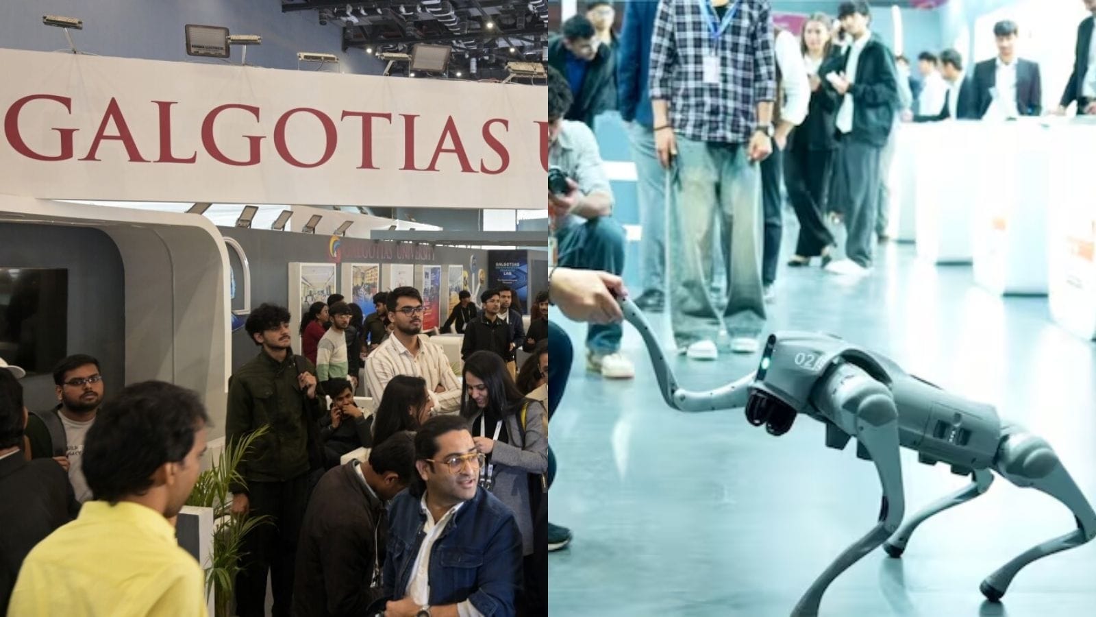 சீன ரோபாநாய் சர்ச்சை; மன்னிப்பு கேட்ட கோடியாஸ் பல்கலைக்கழகம் | India News (இந்தியா செய்திகள்) - News18 தமிழ்