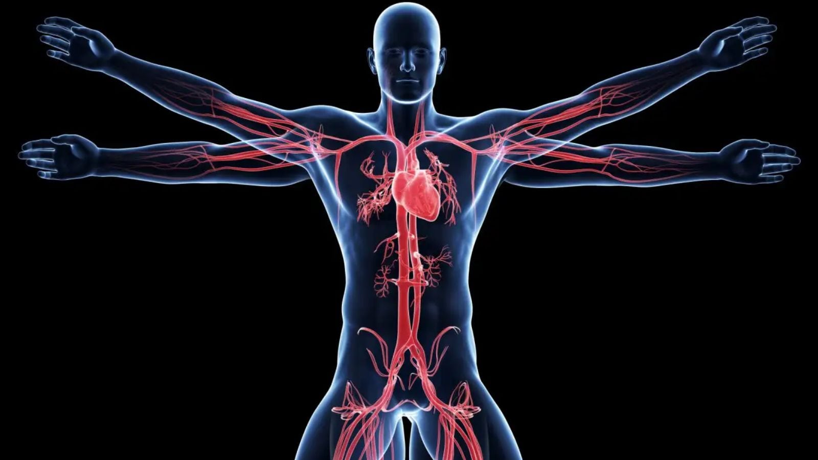 உடலில் அதிகமாக வேலை செய்யும் உறுப்பு எது தெரியுமா..? 99% பேருக்கு தெரியாத உண்மை..! | லைப்ஸ்டைல் போட்டோகேலரி - News18 தமிழ்