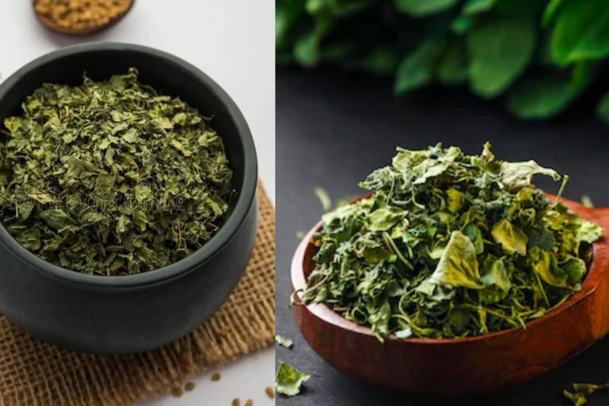 கசூரி மேத்தி இனி வீட்டிலேயே ரெடி பண்ணி வச்சுக்கோங்க.. எளிமையான வழிகள் இங்கே...