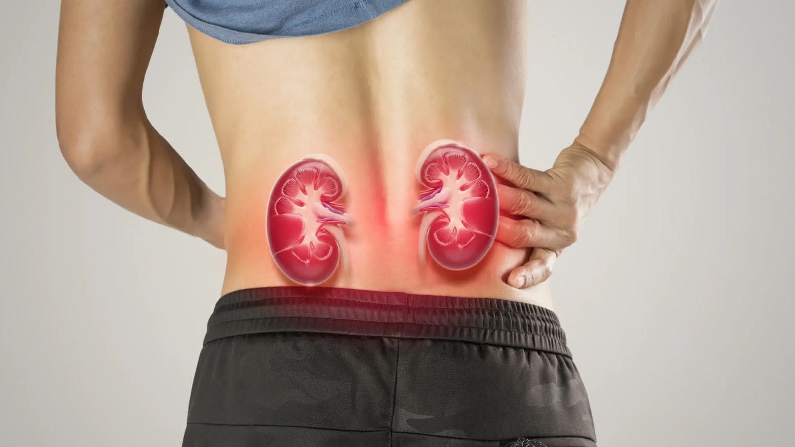 உங்க சிறுநீரகம் கொஞ்சம் கொஞ்சமாக மோசமாகி வருவதை உணர்த்தும் அறிகுறிகள்.. ஆரம்பநிலையிலேயே கண்டறிய எச்சரிக்கை..! | லைப்ஸ்டைல் போட்டோகேலரி - News18 தமிழ்