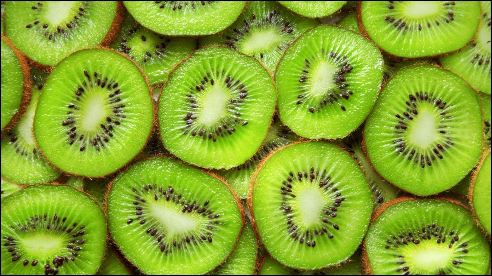 Kiwi Fruit | பச்சைபசேலென்ற கிவி பழத்தில் ஒளிந்திருக்கும் அட்டகாசமான நன்மைகள்! | லைப்ஸ்டைல் போட்டோகேலரி - News18 தமிழ்