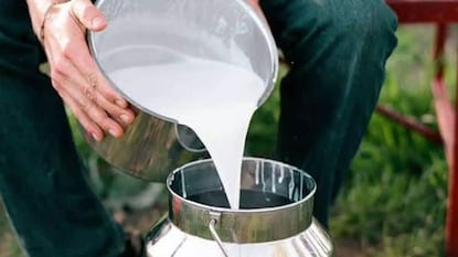 கோப்பு படம் கோப்பு படம்