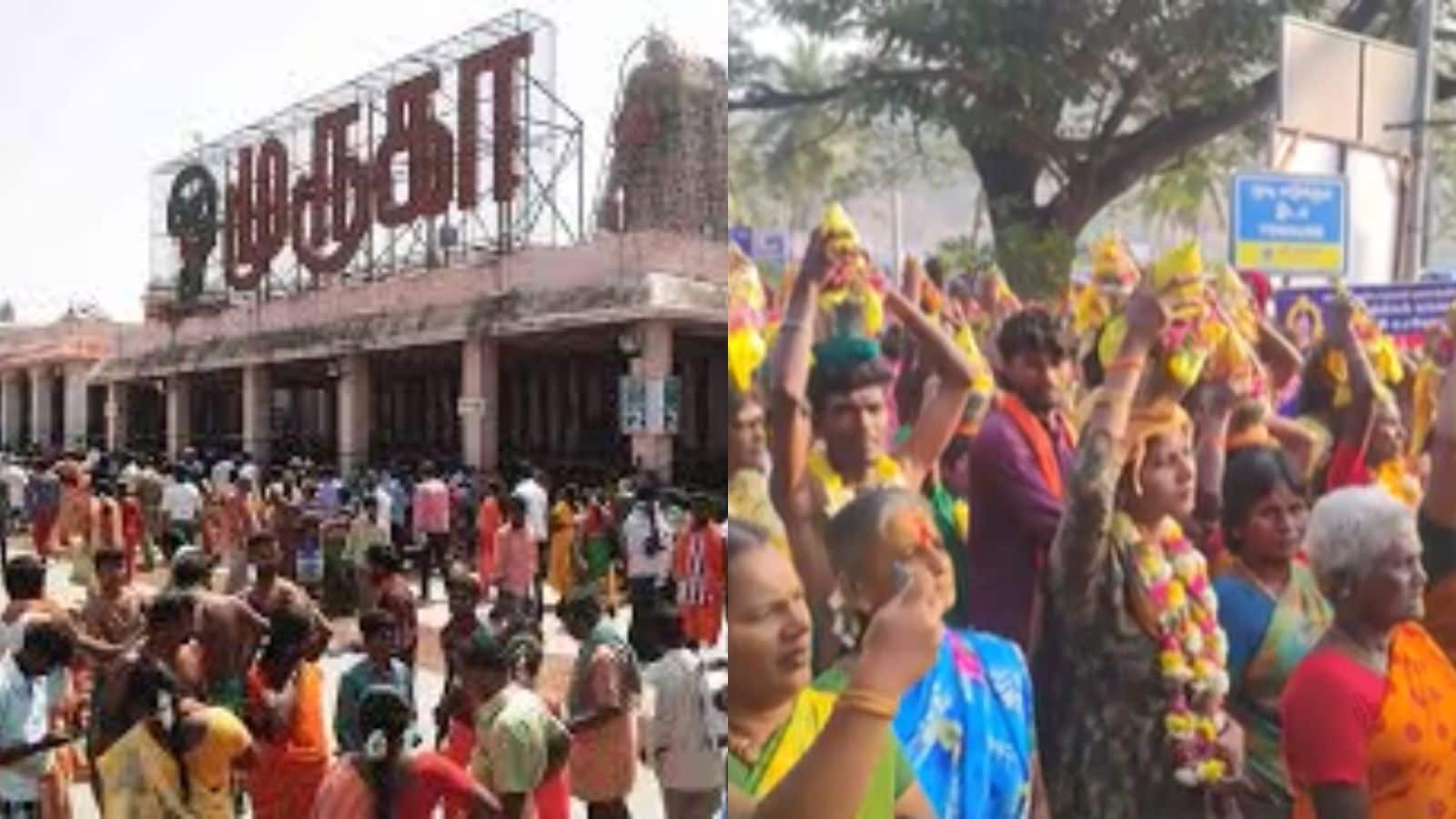 தைப்பூசம் 2026 : முருகனின் அறுப்படை வீடுகளில் கோலாகல கொண்டாட்டம் | Spirituality News (ஆன்மீக செய்திகள்) - News18 தமிழ்