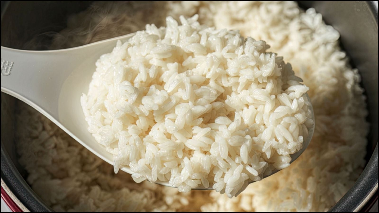 சாதம் பஞ்சுபோல வரணுமா? ஹெல்த்தியாவும் இருக்கணுமா? சர்க்கரை நோயாளிகளுக்காகவே ஸ்பெஷல் டிப்ஸ்! | லைப்ஸ்டைல் போட்டோகேலரி - News18 தமிழ்