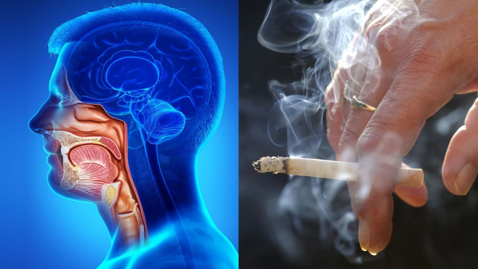 தலை மற்றும் கழுத்து புற்றுநோய் வர புகையிலை ஒன்றே காரணம்.. எச்சரிக்கும் நிபுணர்களின் அறிக்கை..! | Lifestyle News (வாழ்க்கை முறை செய்திகள்) - News18 தமிழ்