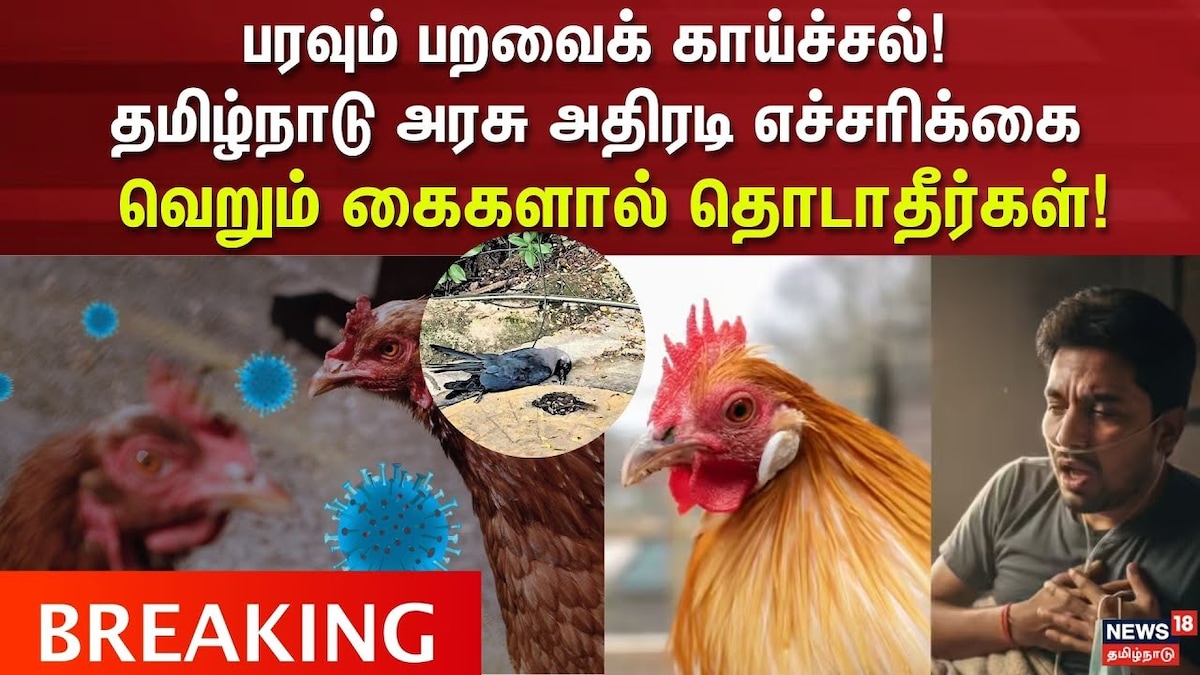 Bird Flu | பரவும் பறவைக் காய்ச்சல்... தமிழ்நாடு அரசின் அதிரடி எச்சரிக்கை! | Lifestyle Videos (லைப்ஸ்டைல் வீடியோக்கள்) - News18 தமிழ்