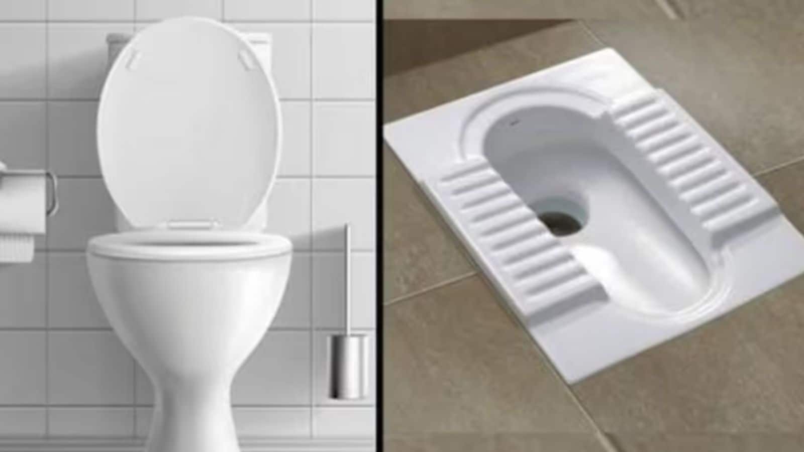 மலச்சிக்கல் பிரச்சனைக்கு இந்தியன் டாய்லெட் அல்லது வெஸ்டர்ன் டாய்லெட்.. எது சிறந்தது..? | லைப்ஸ்டைல் போட்டோகேலரி - News18 தமிழ்
