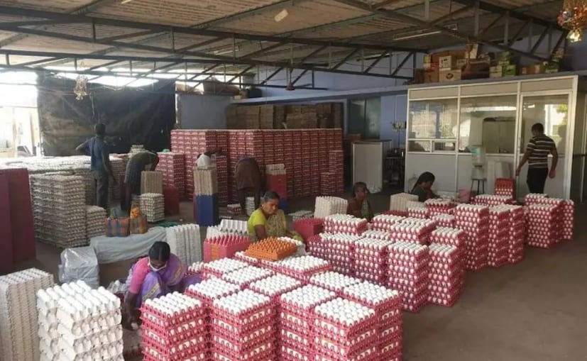 இந்த முட்டைகள் தமிழகம் மட்டுமல்லாமல் கேரளா உள்ளிட்ட வெளி மாநிலங்களுக்கும் அனுப்பப்படுகின்றன. மேலும், நாமக்கல் மண்டலத்தில் இருந்து துபாய், குவைத், கத்தார், ஓமன், பஹ்ரைன் உள்ளிட்ட வளைகுடா நாடுகள் மற்றும் ஆப்ரிக்கா, ஐரோப்பிய நாடுகளுக்கும் கண்டெய்னர் கப்பல்கள் மூலம் முட்டைகள் ஏற்றுமதி செய்யப்பட்டு வருகின்றன.