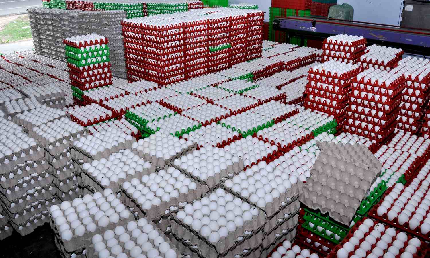 நாமக்கல் மண்டலம் தமிழ்நாட்டின் முக்கியமான முட்டை உற்பத்தி மையமாக விளங்குகிறது. இப்பகுதியில் 1000-க்கும் மேற்பட்ட முட்டைக் கோழிப்பண்ணைகள் இயங்கி வருகின்றன. இவற்றில் சுமார் 6 கோடி முட்டைக் கோழிகள் வளர்க்கப்பட்டு வருவதால், நாள்தோறும் சுமார் 5 கோடி முட்டைகள் உற்பத்தி செய்யப்படுகின்றன.