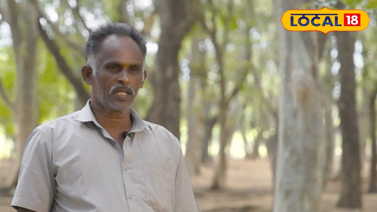 இவரை பார்த்து கத்துக்கணும்... 10,000 மரங்களை நட்டு காட்டை உருவாக்கிய நாறும்பூ கதை தெரியுமா ?