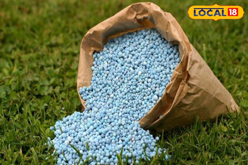 விவசாய குறிப்புகள் விவசாய குறிப்புகள்