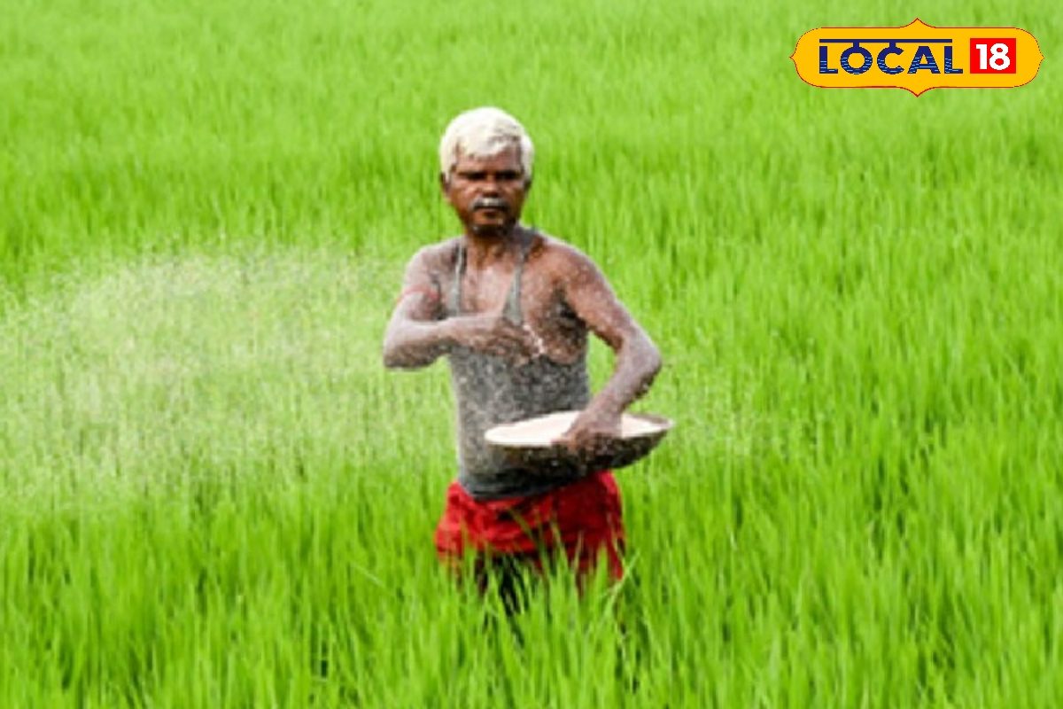 விவசாயிகளுக்கு புதிய ரூல் -  அடையாள எண் இல்லையெனில் சலுகைகள் கிடையாது.?