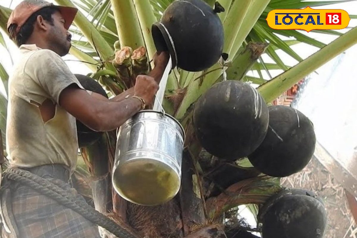 ஆரோக்கியத்திற்கும், விவசாயத்திற்கும் இரட்டை பலன் தரும் "நீரா பானம்"..  நன்மைகள் தெரிஞ்சுக்கோங்க !