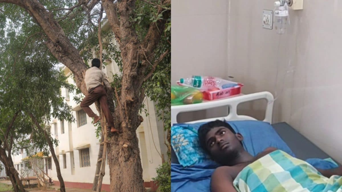 பள்ளி விடுதியில் மாணவர்களை விறகு உடைக்கச் சொன்ன ஆசிரியர்கள்... மரம் ஏறிய மாணவருக்கு நேர்ந்த விபரீதம்...