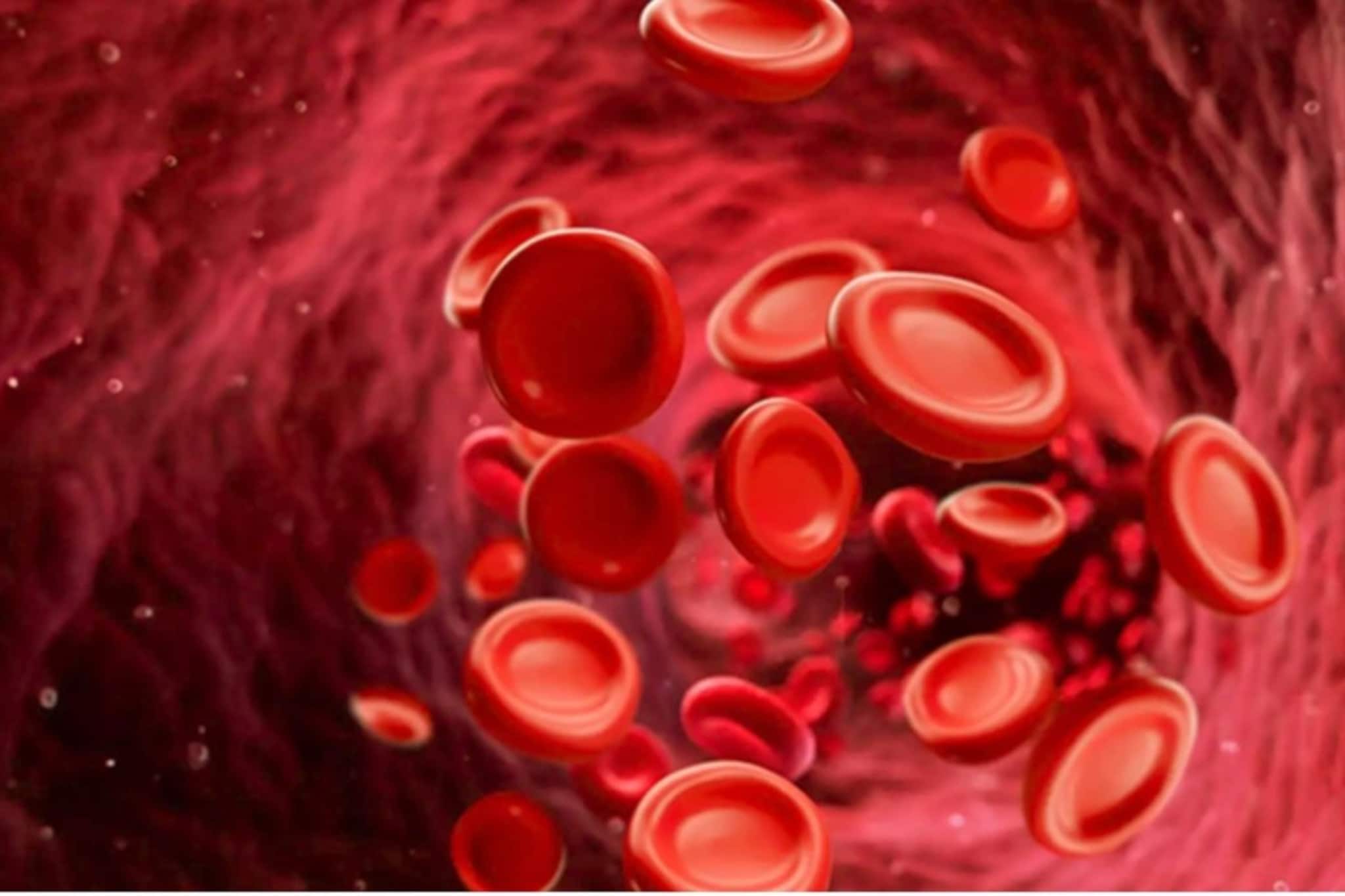 உலகில் 45 பேருக்கு மட்டுமே இருக்கும் ரத்த வகை... ஒரு துளி தங்கத்திற்கு சமம்!