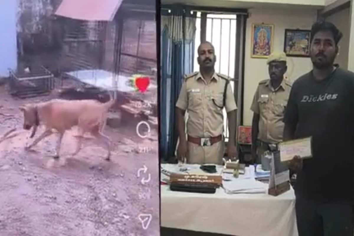 நாயை வைத்து பாம்பை கடிக்கவைத்த நபர்.. வனத்துறை எடுத்த அதிரடி நடவடிக்கை.. என்ன நடந்தது?