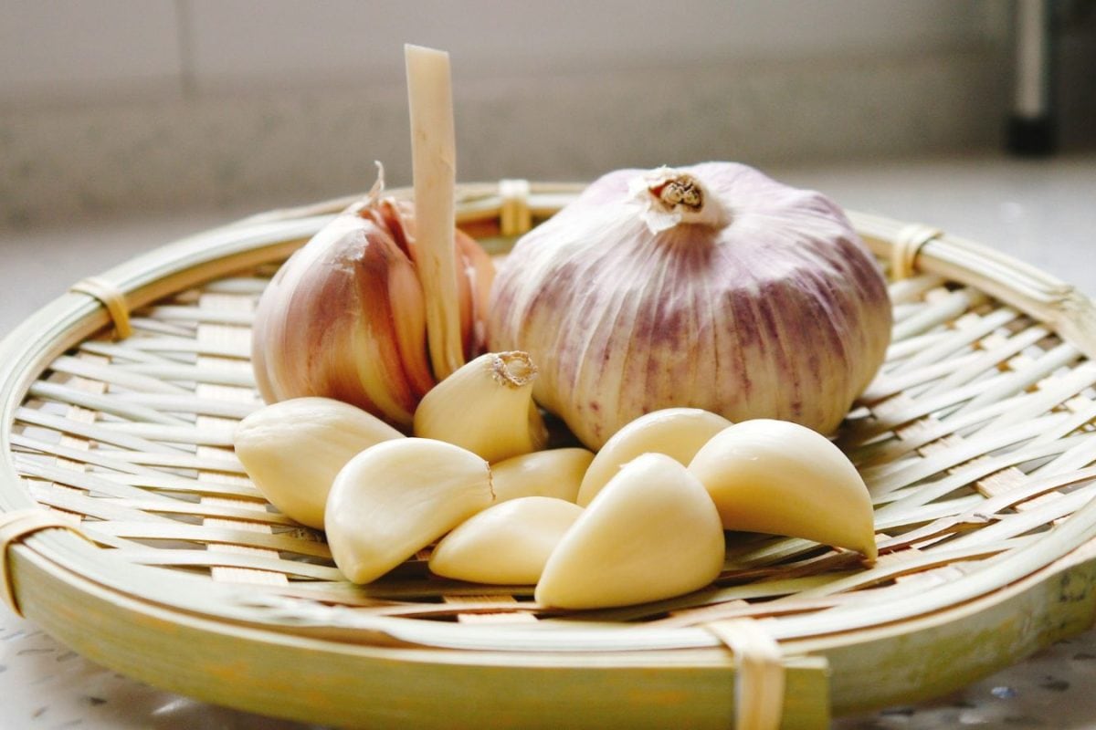 தினமும் காலையில் ஒரு பல் பூண்டு.. இப்படி சாப்பிட்டால் இத்தனை பிரச்சனைகளுக்கும் பலன் கிடைக்குமாம்..!