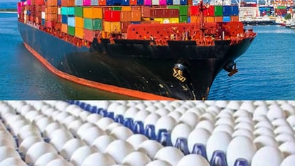 நாமக்கல் முட்டை