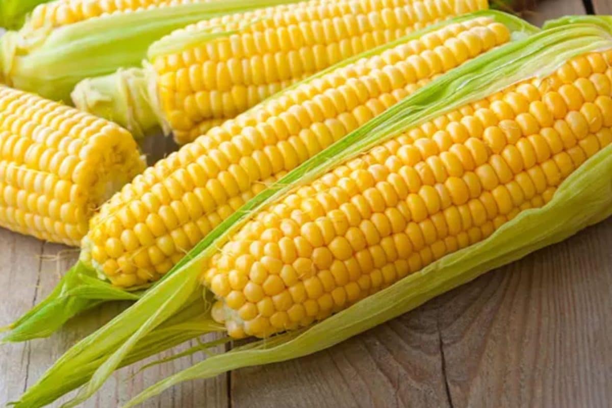 ஸ்வீட் கார்ன் வெறும் சிற்றுண்டி மட்டுமல்ல.. அதில் இவ்வளவு சத்துக்கள் உள்ளன தெரியுமா..?