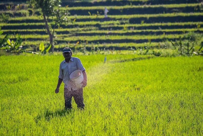 மார்ச் 13, 2026 அன்று, மத்திய அரசு பிஎம் கிசான் திட்டத்தின் 22வது தவணையை வெளியிட்டது. இந்த நிலையில், 23-வது தவணைப் பணம் எப்போது வழங்கப்படும் என்று விவசாயிகள் எதிர்பார்த்துள்ளனர். இருப்பினும், இந்த முறை மத்திய அரசு ஒரு புதிய விதியை அமல்படுத்துவதால், அடுத்த தவணையை பெற விவசாயிகள் சில விஷயங்களை முடிக்க வேண்டிய அவசியம் ஏற்பட்டுள்ளது.