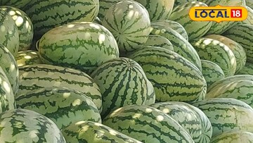 தர்பூசணி