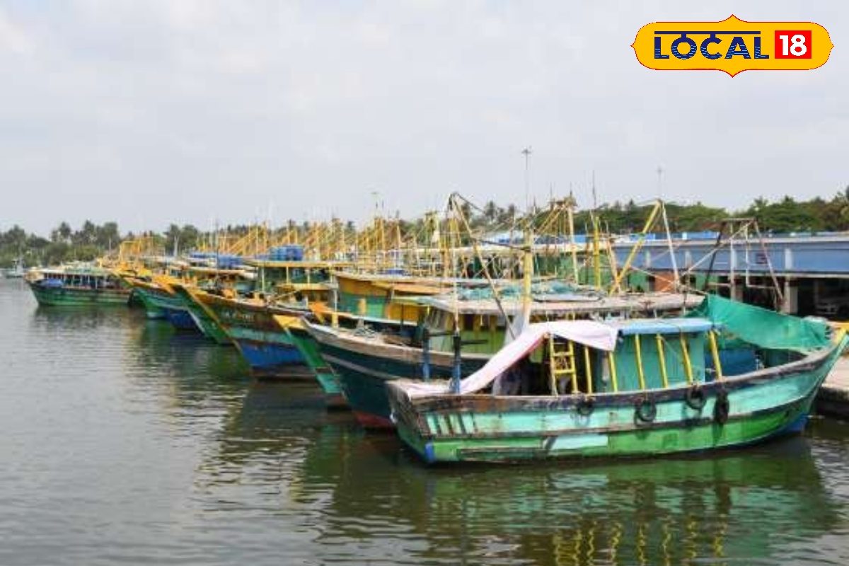 ஏப்ரல் 15 முதல் 61 நாள் மீன்பிடி தடைக்காலம்... மீன் விலை உயருமா.?
