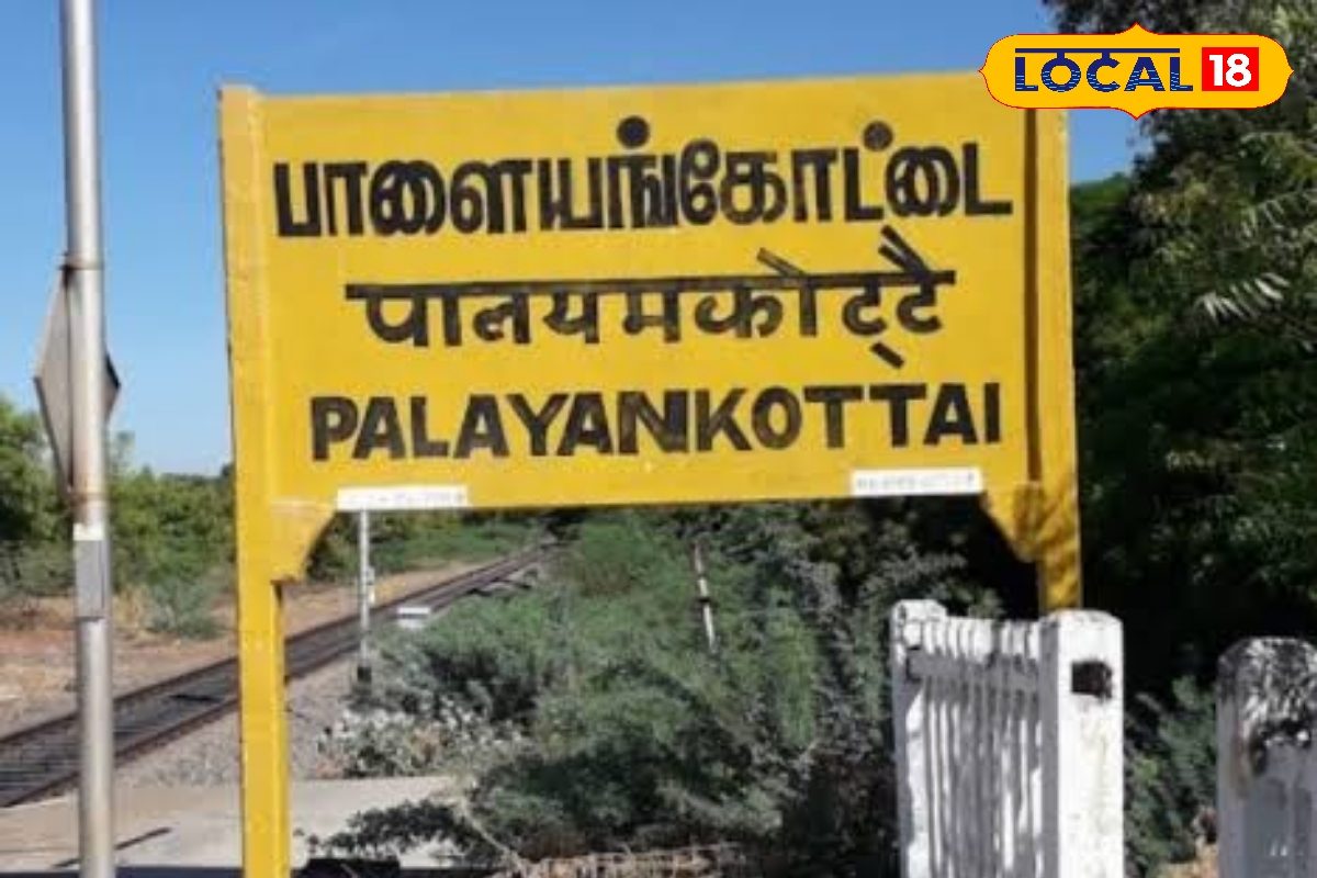 தமிழக தேர்தல் செய்திகள் preview 1