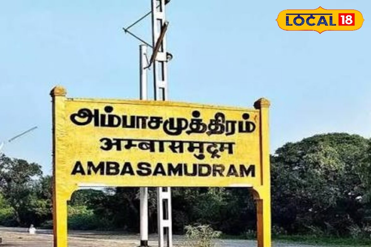 அம்பாசமுத்திரம் தொகுதி: இயற்கை வளம், வாக்காளர் பலம், அரசியல் போட்டி... கள நிலவரம் இதோ !