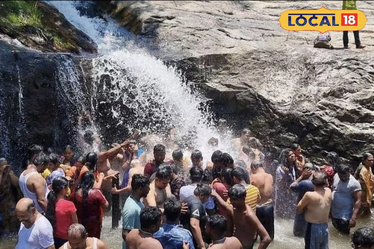Kumbakarai Falls: மலை அடிவாரத்தில் குளு குளு குளியலுக்கு அனுமதி... மீண்டும் ஆர்ப்பரிக்கும் கும்பக்கரை அருவி...