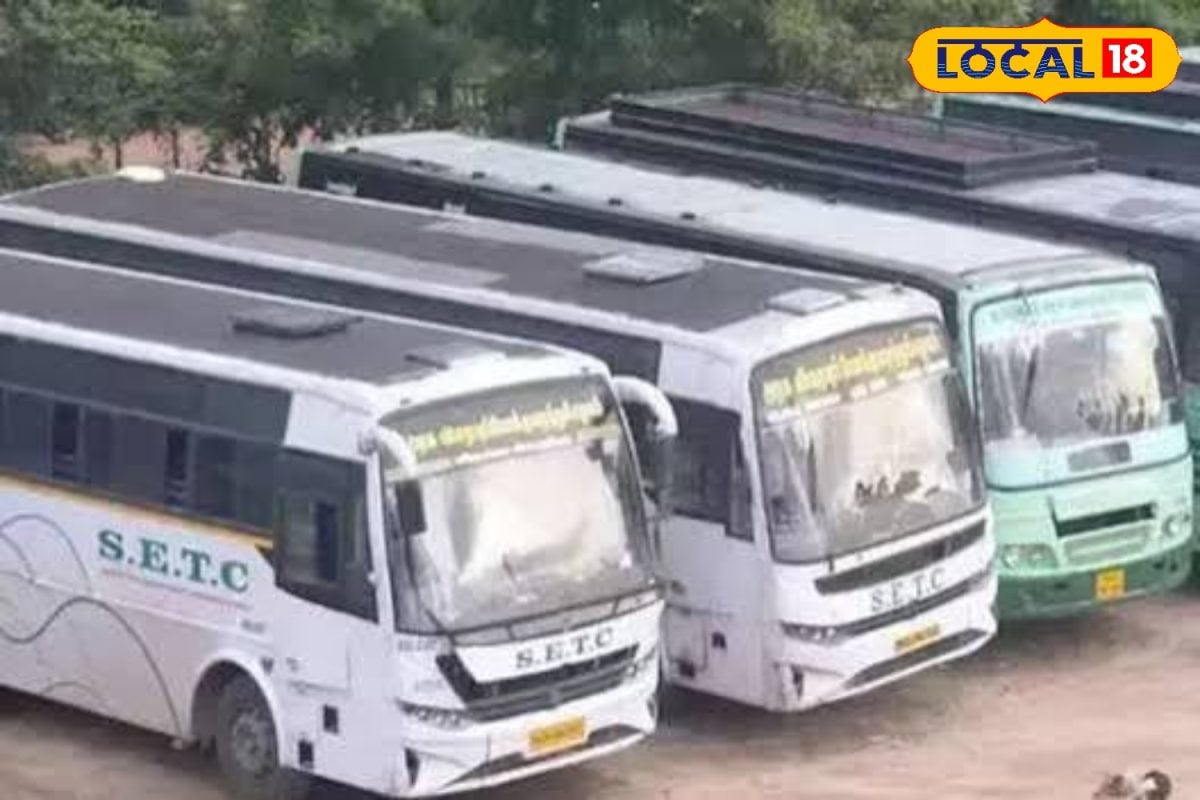 Tnstc Special Bus: 