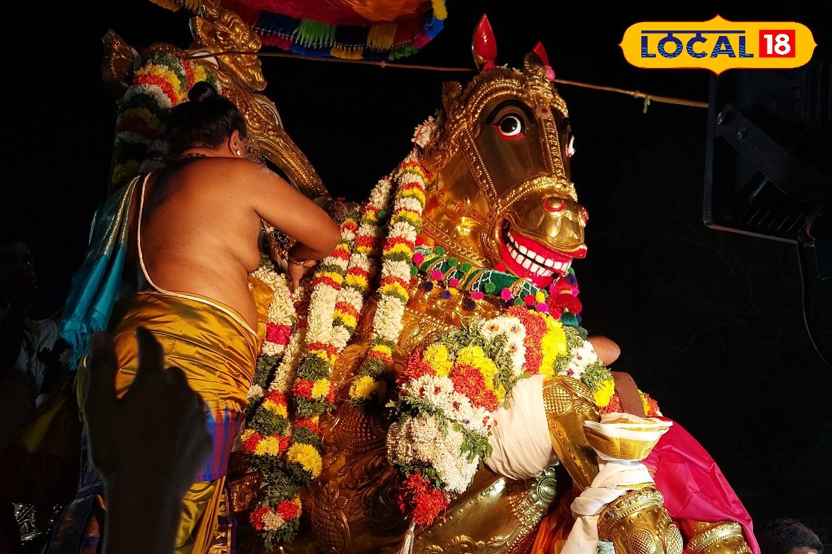 மாசி வீதிகளில் மின்னிய மீனாட்சி - தங்கக் குதிரையில் ஊர்வலம் வந்த உலகநாயகி