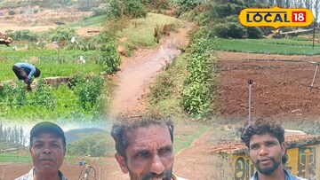 வெயிலால்