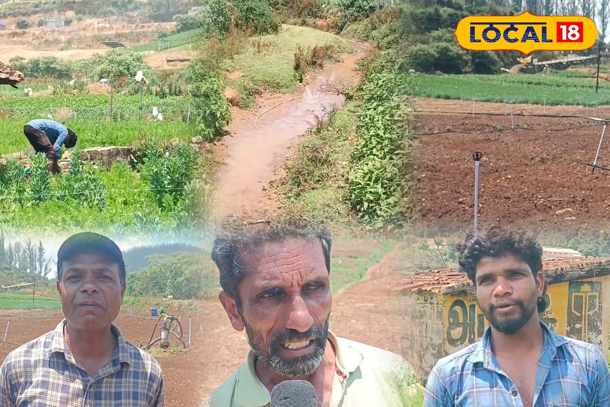 மழை நம்பி விதைச்சோம்.. வெயில்ல கருகிப்போச்சு