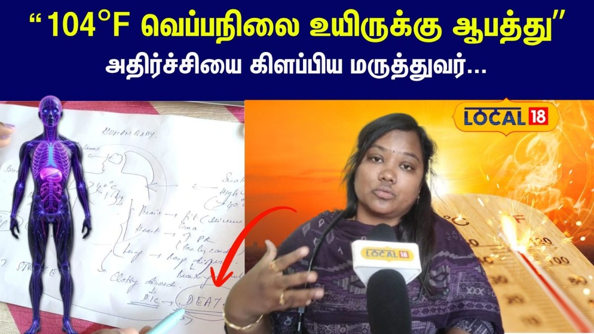 Heat Stroke: ”104°F வெப்பநிலை உயிருக்கு ஆபத்து” - வரைபடம் மூலம் அதிர்ச்சியை கிளப்பிய மருத்துவர்