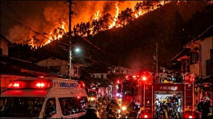 ஜப்பான் காட்டுத்தீ